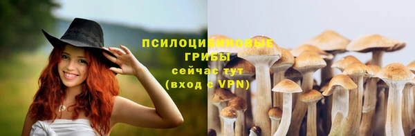МДПВ Абинск