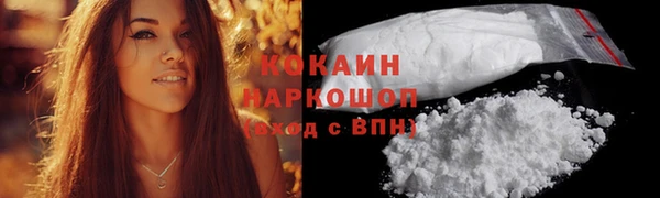 соль ск Абаза