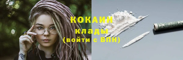 соль ск Абаза